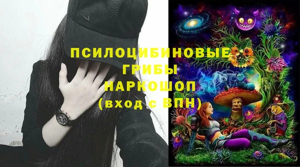 прущие грибы Вяземский