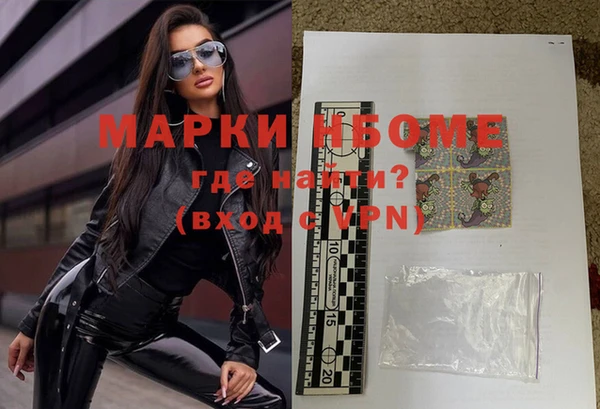 прущие грибы Вяземский
