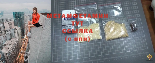 прущие грибы Вяземский
