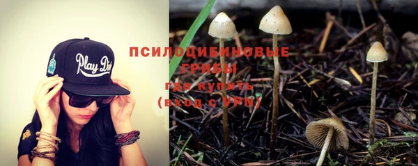 мдпв Вязьма